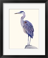 Heron Study I Framed Print