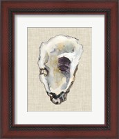 Framed Oyster Shell Study III