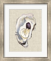 Framed Oyster Shell Study IV