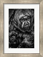Framed Little Monkey 3 Black & White