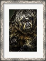 Framed Little Monkey 3