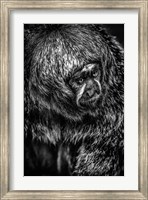 Framed Little Monkey 4 Black & White
