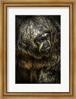 Framed Little Monkey 4