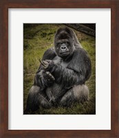 Framed Male Gorilla Black