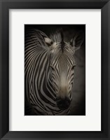 Framed Zebra 5