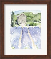 Framed Lavender Fields I