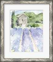 Framed 'Lavender Fields I' border=