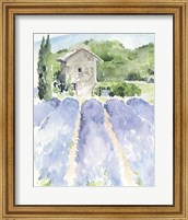 Framed Lavender Fields I