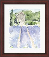 Framed 'Lavender Fields I' border=