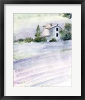 Lavender Fields II Framed Print