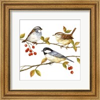 Framed Birds & Berries I