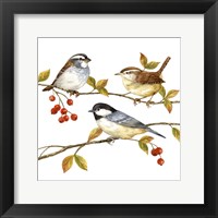 Framed Birds & Berries I