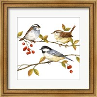 Framed 'Birds & Berries I' border=