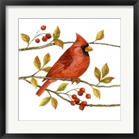 Framed Birds & Berries III