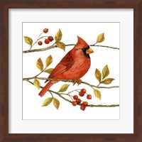 Framed Birds & Berries III