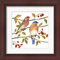 Framed Birds & Berries IV