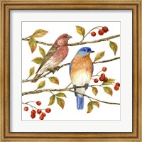 Framed Birds & Berries IV