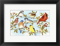Framed Birds & Berries V
