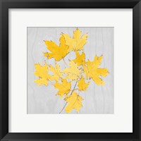 Framed 'Autumn Leaves VII' border=