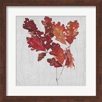 Framed Autumn Leaves VIII