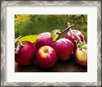 Framed Harvest I