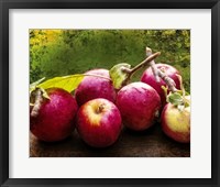 Framed Harvest I