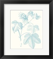 Framed Botanical Study in Spa IV