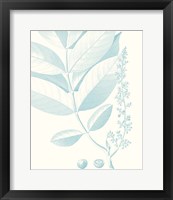 Botanical Study in Spa VI Framed Print