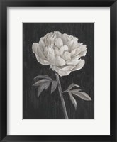 Black and White Flowers I Framed Print