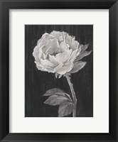 Framed Black and White Flowers II