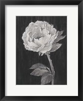 Framed Black and White Flowers II