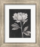 Framed Black and White Flowers III