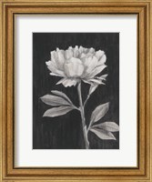 Framed Black and White Flowers III