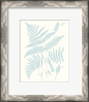 Framed 'Serene Ferns I' border=