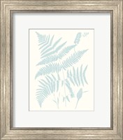 Framed 'Serene Ferns I' border=