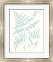 Framed Serene Ferns I