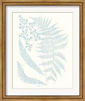 Framed Serene Ferns II