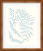 Framed 'Serene Ferns II' border=