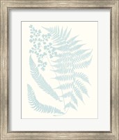 Framed Serene Ferns II