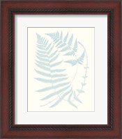 Framed Serene Ferns III