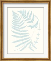 Framed Serene Ferns III