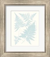 Framed Serene Ferns IV