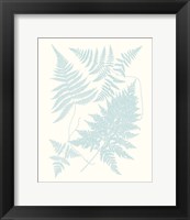 Framed Serene Ferns IV