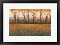 Glow in the Afternoon II Framed Print
