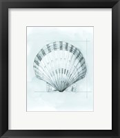 Framed 'Coastal Shell Schematic III' border=