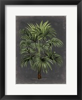 Framed Dramatic Palm I