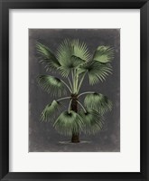 Dramatic Palm II Framed Print