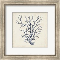 Framed 'Coral Trio in Indigo III' border=