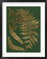 Framed Gilded Ferns I