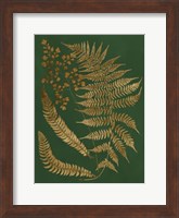 Framed Gilded Ferns I